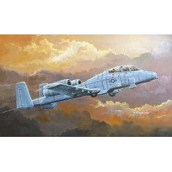 N/AW A-10A  THUNDERBOLT II 