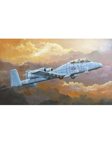 N/AW A-10A  THUNDERBOLT II 