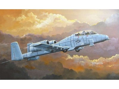 N/AW A-10A  THUNDERBOLT II 
