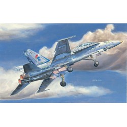 F/A-18D HORNET 