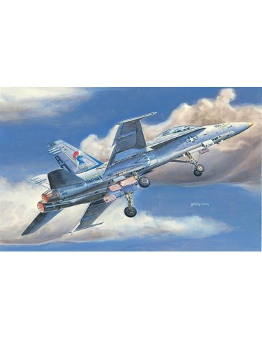 F/A-18D HORNET 