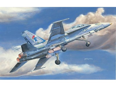 F/A-18D HORNET 