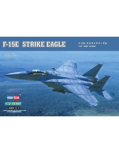 F-15E Strike Eagle 