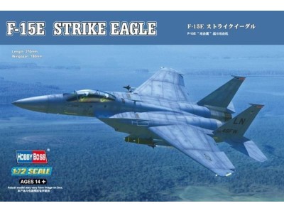 F-15E Strike Eagle 