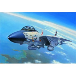 F-14A Tomcat 