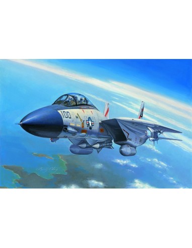 F-14A Tomcat 