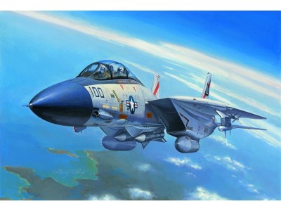 F-14A Tomcat 