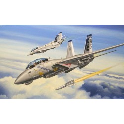 F-14B Tomcat 