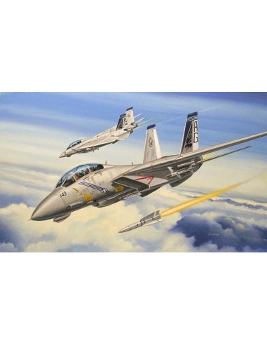 F-14B Tomcat 
