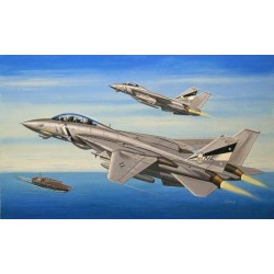 F-14D Super Tomcat 