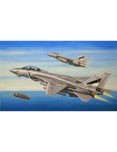 F-14D Super Tomcat 