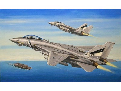 F-14D Super Tomcat 