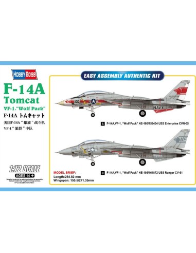 F-14A Tomcat 