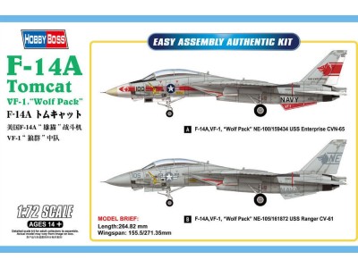 F-14A Tomcat 