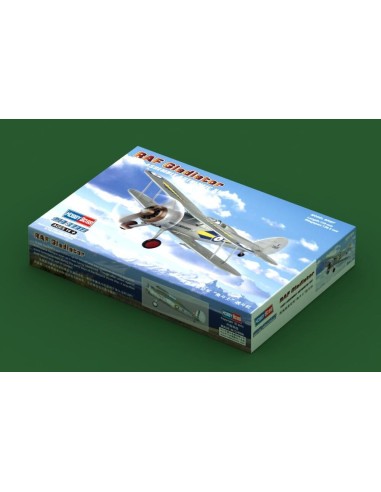 RAF Gladiator 