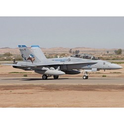 F/A-18D Hornet 
