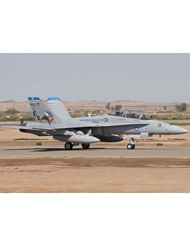 F/A-18D Hornet 