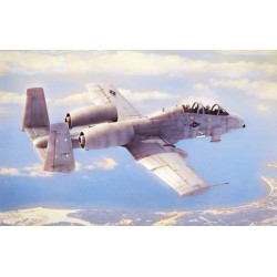 N/AW A-10A Thunderbolt II 