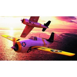 F4F-3 early Wildcat 