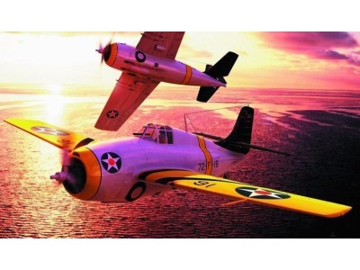 F4F-3 early Wildcat 