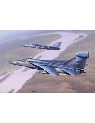EF-111 Raven 