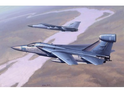 EF-111 Raven 