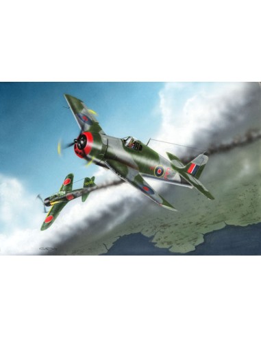 British Fleet Air Arm Hellcat Mk.I 