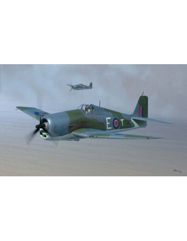 British Fleet Air Arm Hellcat Mk.II 