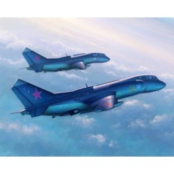 Yak-38U Forger B 