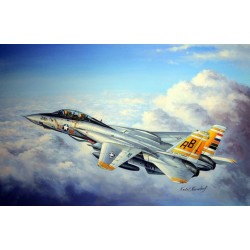 F-14A Tomcat 