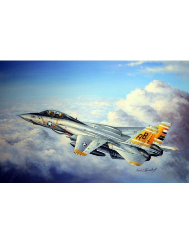 F-14A Tomcat 