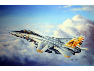 F-14A Tomcat 