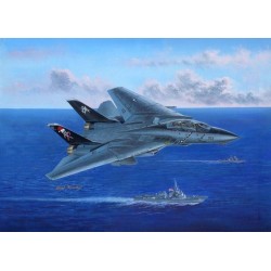 F-14B Tomcat 
