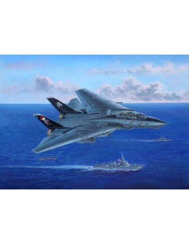 F-14B Tomcat 