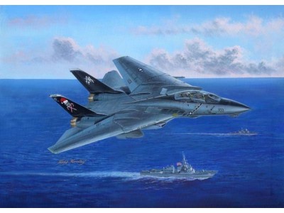 F-14B Tomcat 