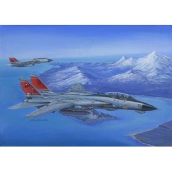 F-14D Super Tomcat 