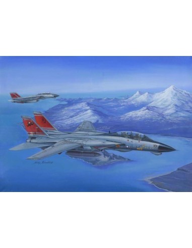 F-14D Super Tomcat 