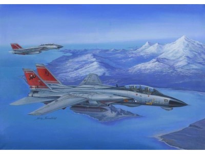 F-14D Super Tomcat 