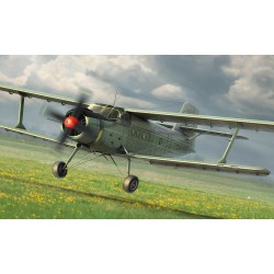 Antonov An-2M Colt 