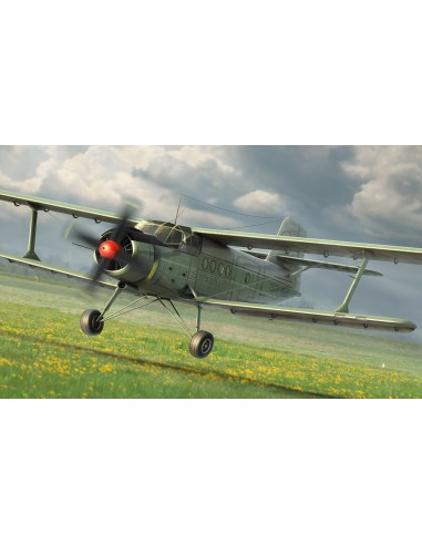 Antonov An-2M Colt 