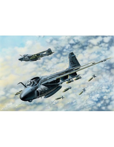 A-6E TRAM Intruder 