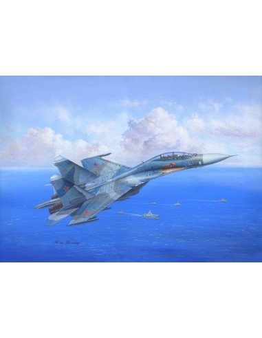 Su-27UB Flanker C 