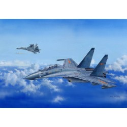 Su-30MKK Flanker G 