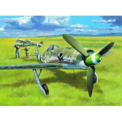 Focke-Wulf FW190D-13 