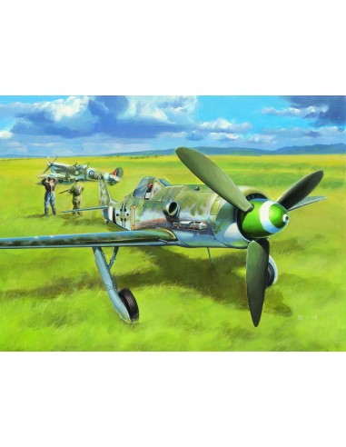 Focke-Wulf FW190D-13 