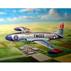 F-80A Shooting Star fighter 