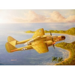 US P-61A Black Widow 