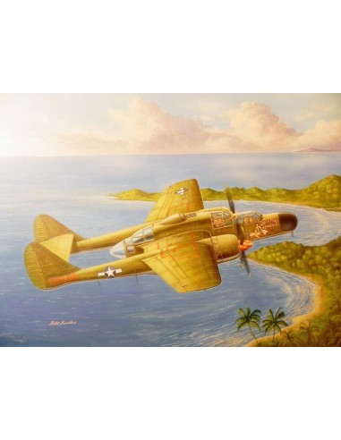 US P-61A Black Widow 