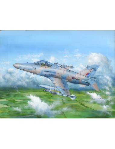 Hawk Mk.200/208/209 
