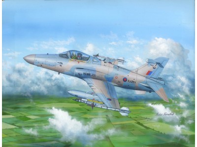 Hawk Mk.200/208/209 